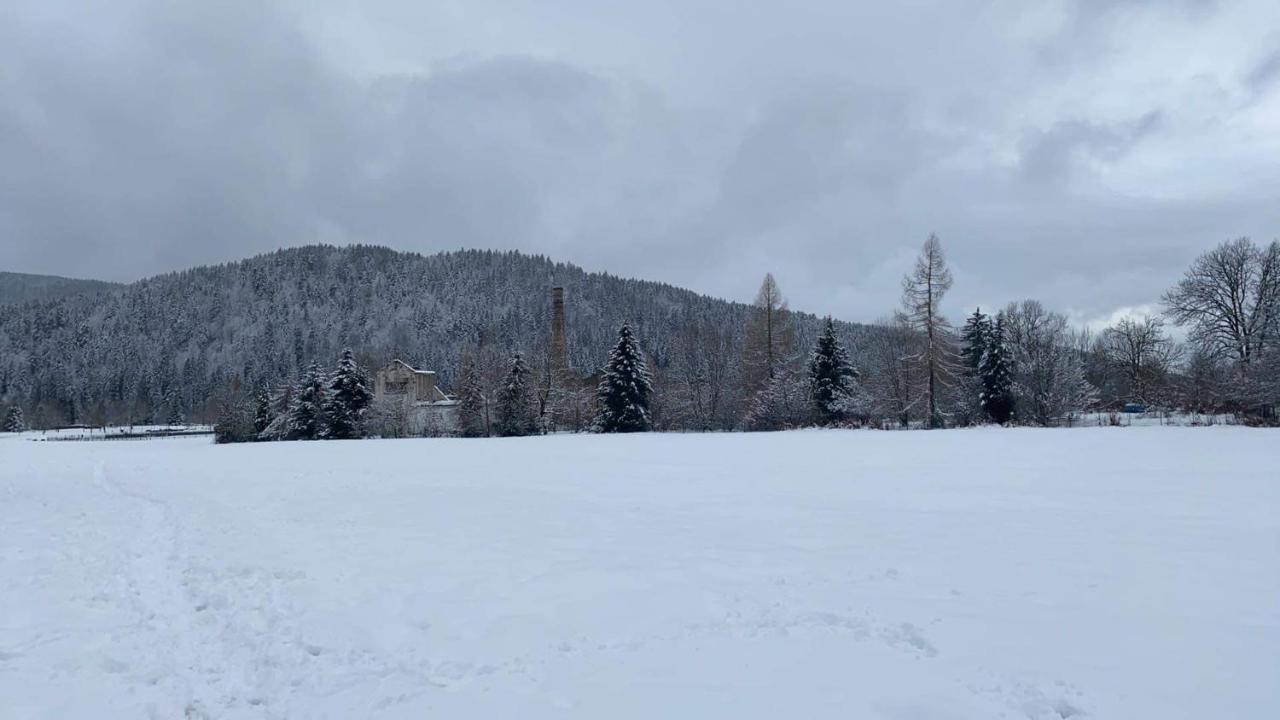 A 2 Pas Du Lac Leilighet Xonrupt-Longemer Eksteriør bilde