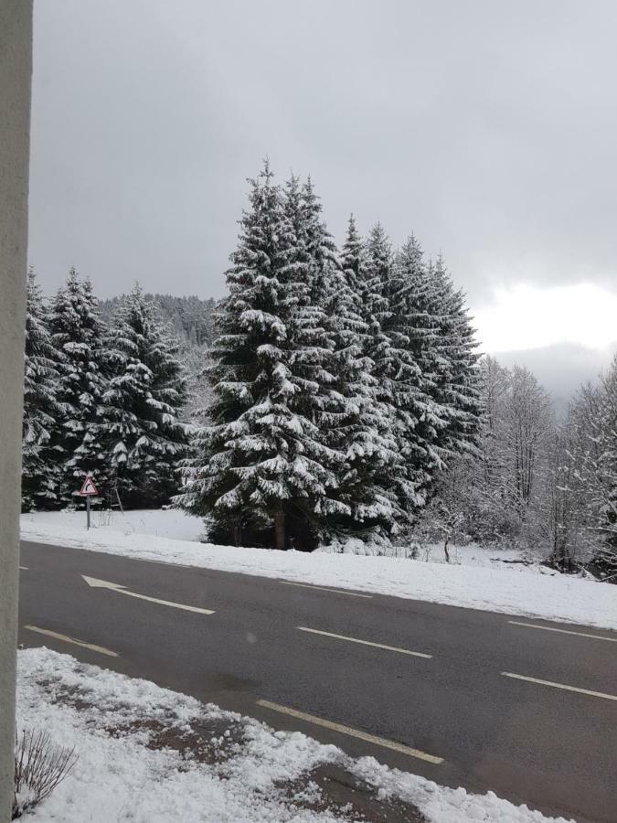 A 2 Pas Du Lac Leilighet Xonrupt-Longemer Eksteriør bilde