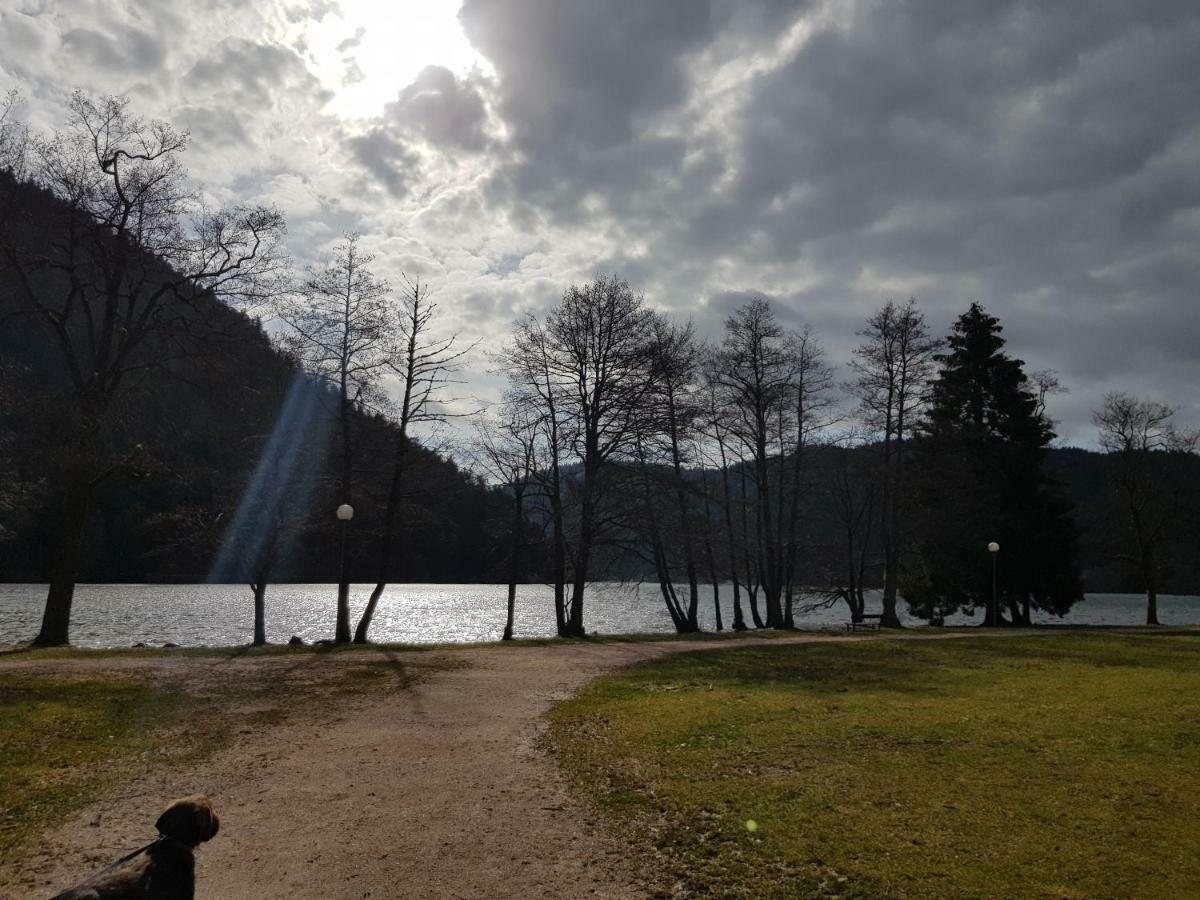 A 2 Pas Du Lac Leilighet Xonrupt-Longemer Eksteriør bilde