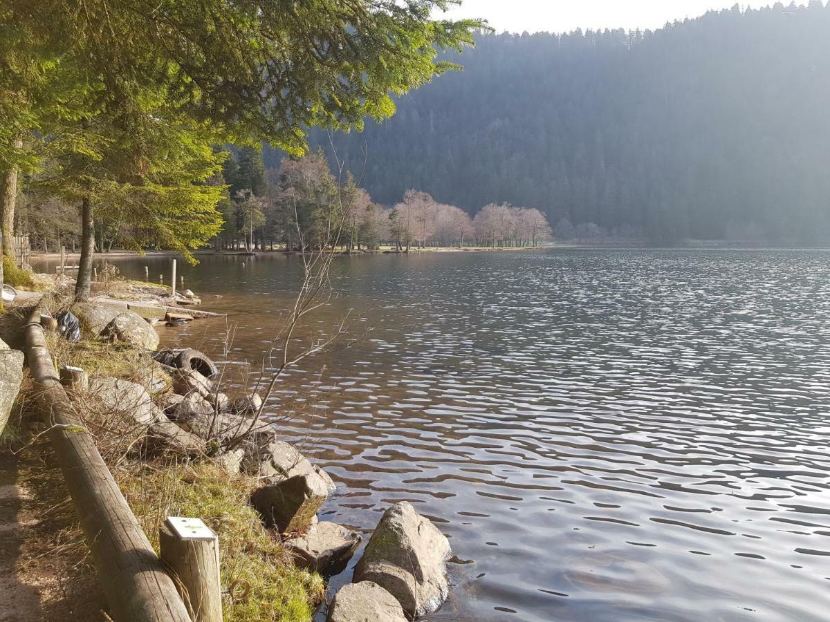 A 2 Pas Du Lac Leilighet Xonrupt-Longemer Eksteriør bilde